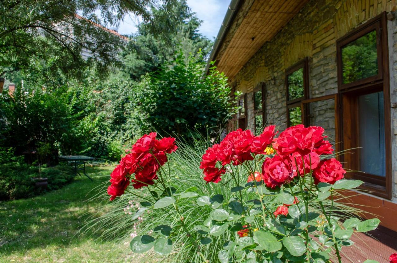 Appartamento Kőház Apartman Veszprém Esterno foto